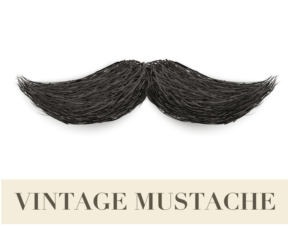 Detail Hipster Mustache Png Nomer 31