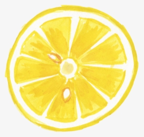Detail Lemon Slice Png Nomer 21