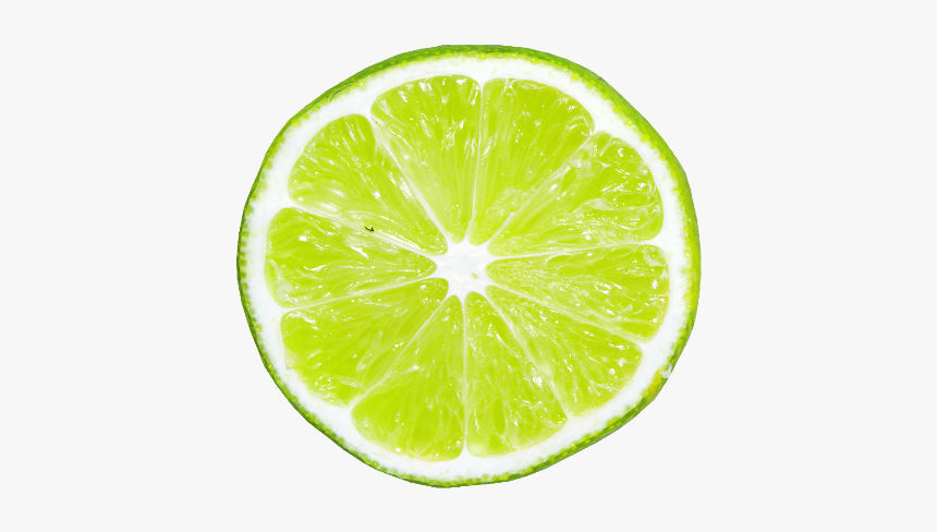 Detail Lemon Slice Png Nomer 23