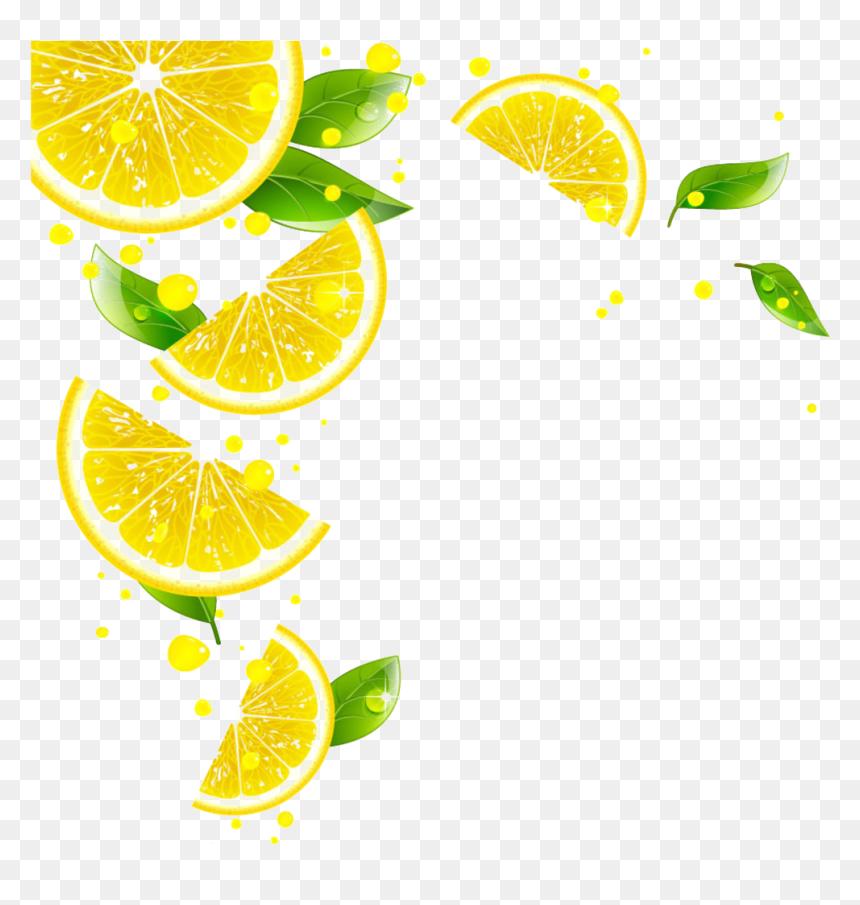 Detail Lemon Slice Png Nomer 25