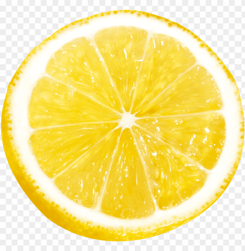 Detail Lemon Slice Png Nomer 5