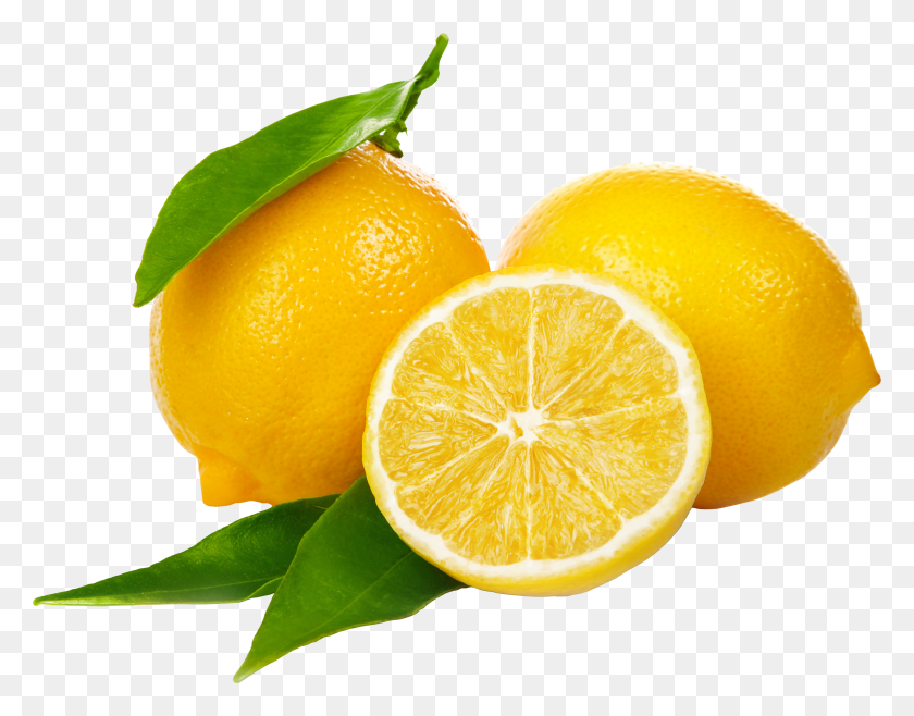 Detail Lemon Slice Png Nomer 49