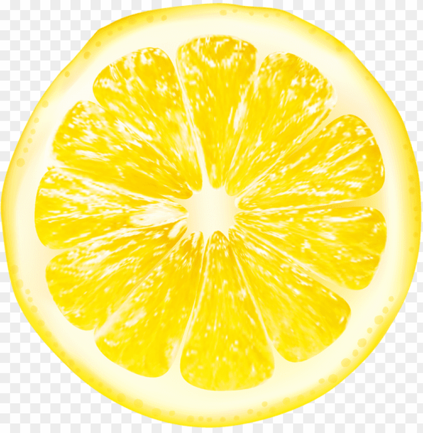 Detail Lemon Slice Png Nomer 8