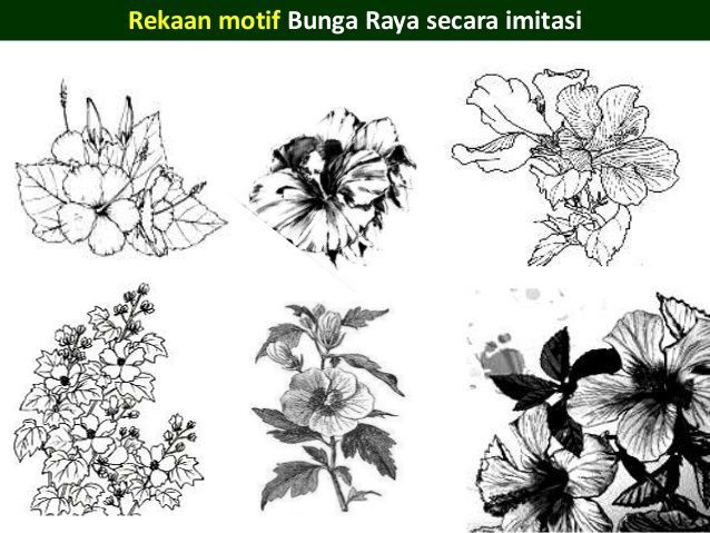 Detail Lukis Gambar Bunga Raya Nomer 20