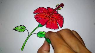 Detail Lukis Gambar Bunga Raya Nomer 30