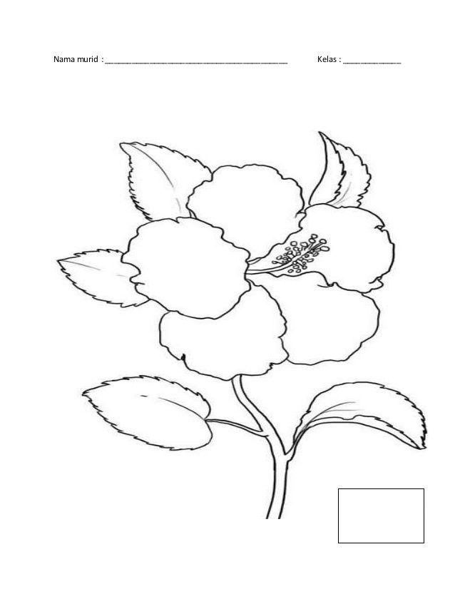 Detail Lukis Gambar Bunga Raya Nomer 36