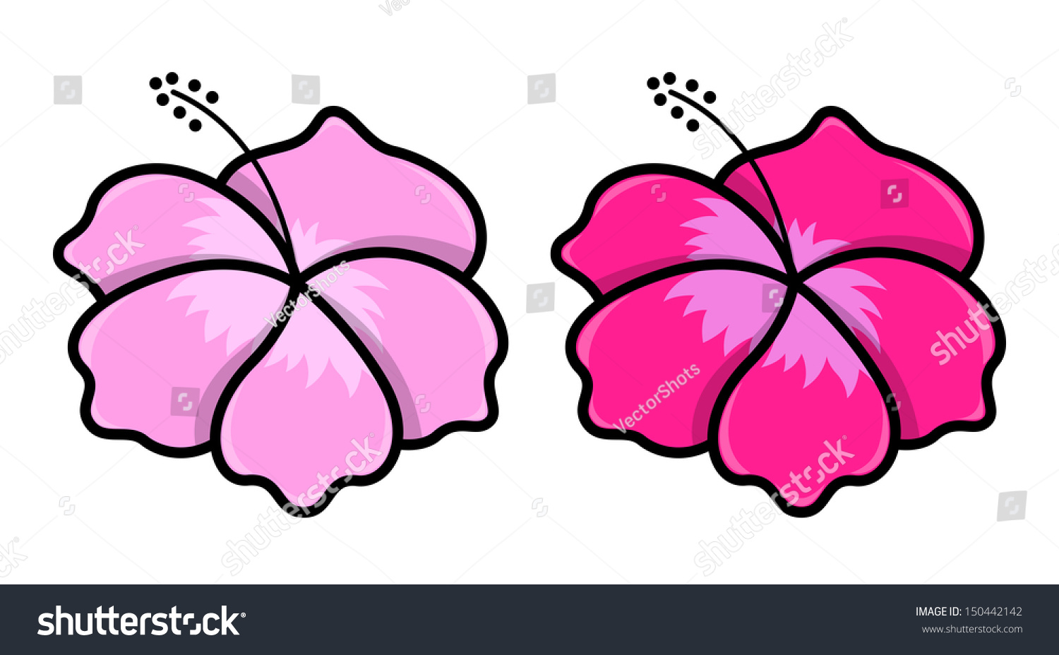 Detail Lukis Gambar Bunga Raya Nomer 5