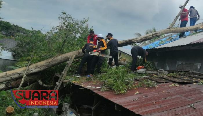 Detail Suara Benda Jatuh Di Atap Rumah Nomer 36