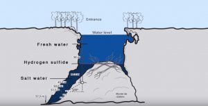 Detail Sungai Di Dasar Laut Nomer 11