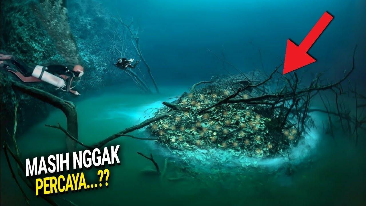 Detail Sungai Di Dasar Laut Nomer 19