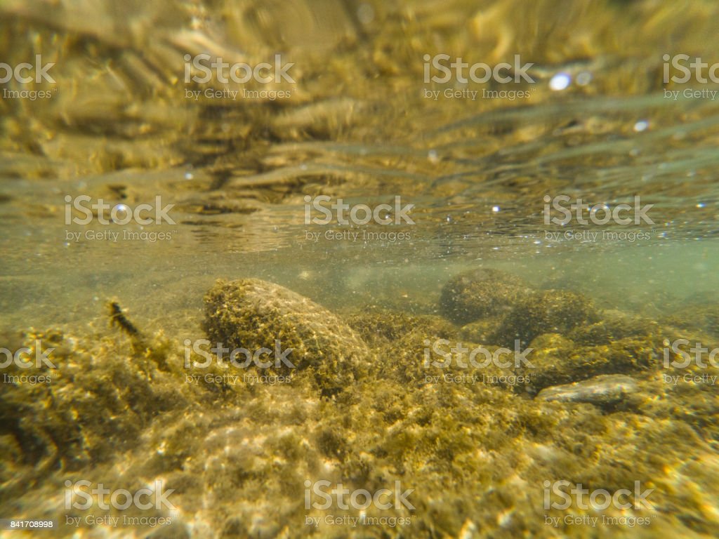 Detail Sungai Di Dasar Laut Nomer 30