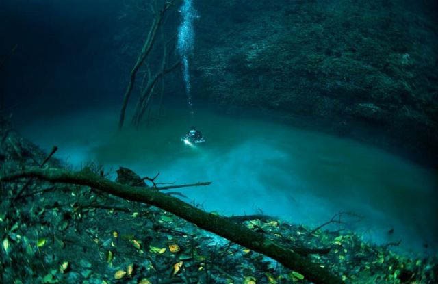 Detail Sungai Di Dasar Laut Nomer 6