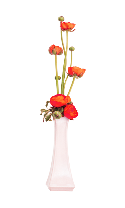 Detail Vase Transparent Background Nomer 55