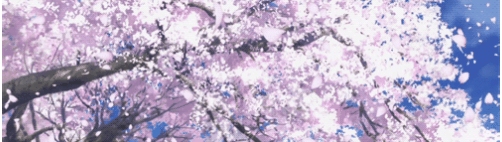 Detail Animasi Bunga Sakura Nomer 38