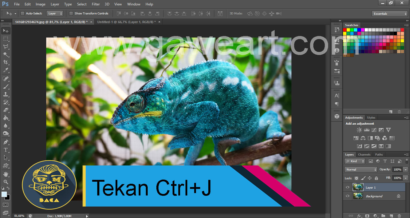 Detail Cara Membuat Efek Color Splash Di Photoshop Nomer 35