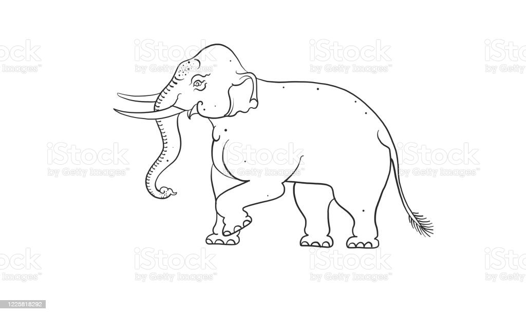 Detail Gajah Thailand Vector Nomer 8