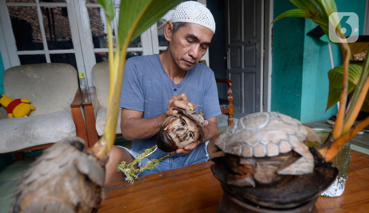 Detail Gambar Bonsai Kelapa Unik Nomer 37