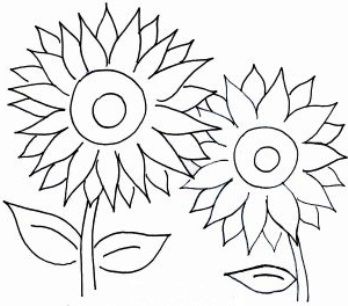 Detail Gambar Bunga Matahari Animasi Hitam Putih Nomer 2