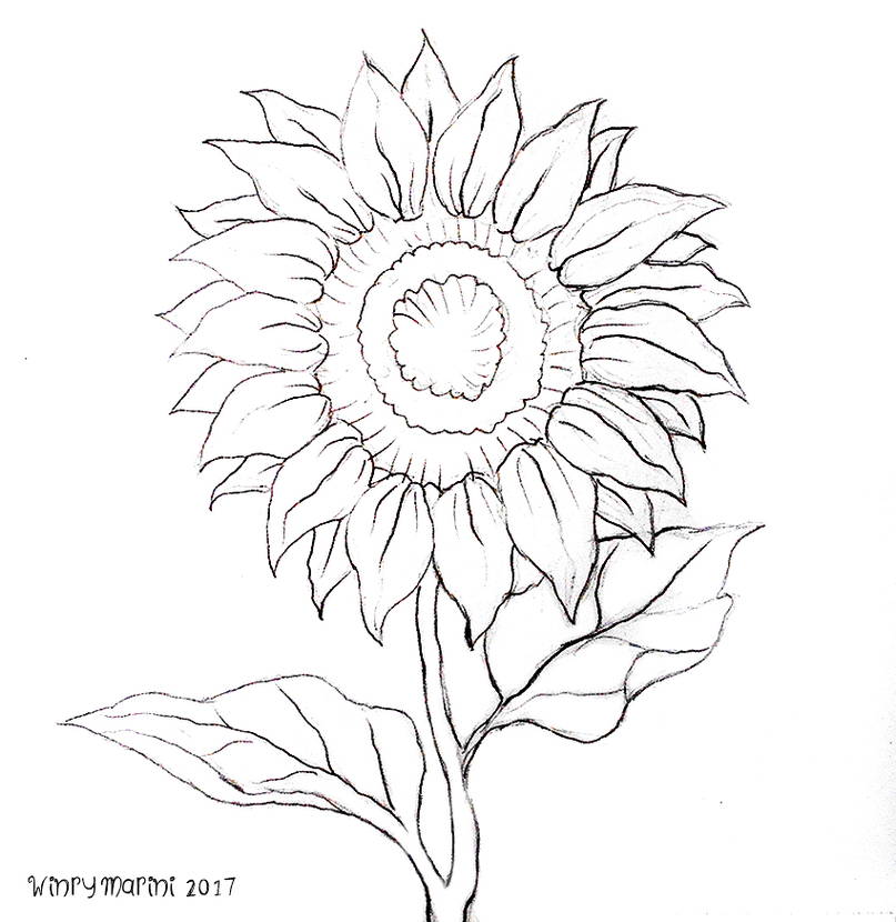 Detail Gambar Bunga Matahari Animasi Hitam Putih Nomer 26