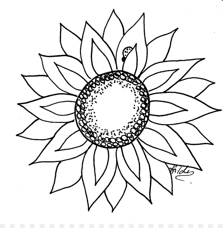 Detail Gambar Bunga Matahari Animasi Hitam Putih Nomer 4
