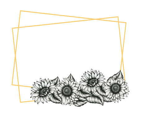 Detail Gambar Bunga Matahari Animasi Hitam Putih Nomer 29