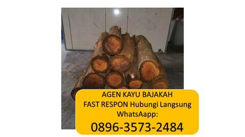 Detail Gambar Kayu Bajakan Nomer 26