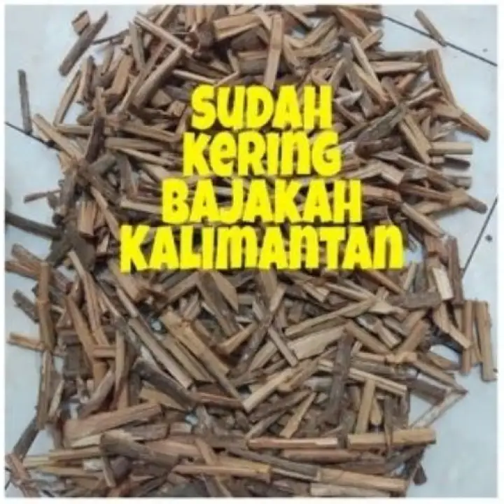 Detail Gambar Kayu Bajakan Nomer 29