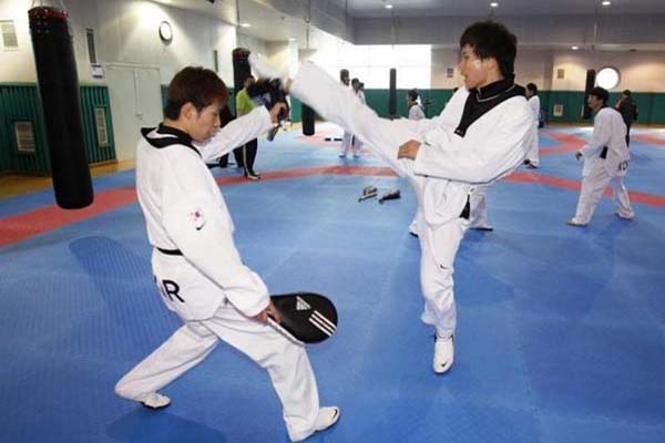 Detail Gambar Taekwondo Indonesia Nomer 36