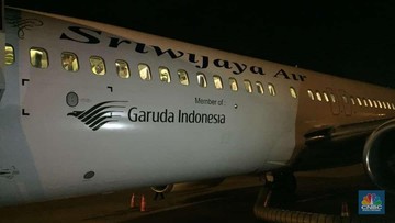 Detail Lambang Pesawat Garuda Indonesia Nomer 30