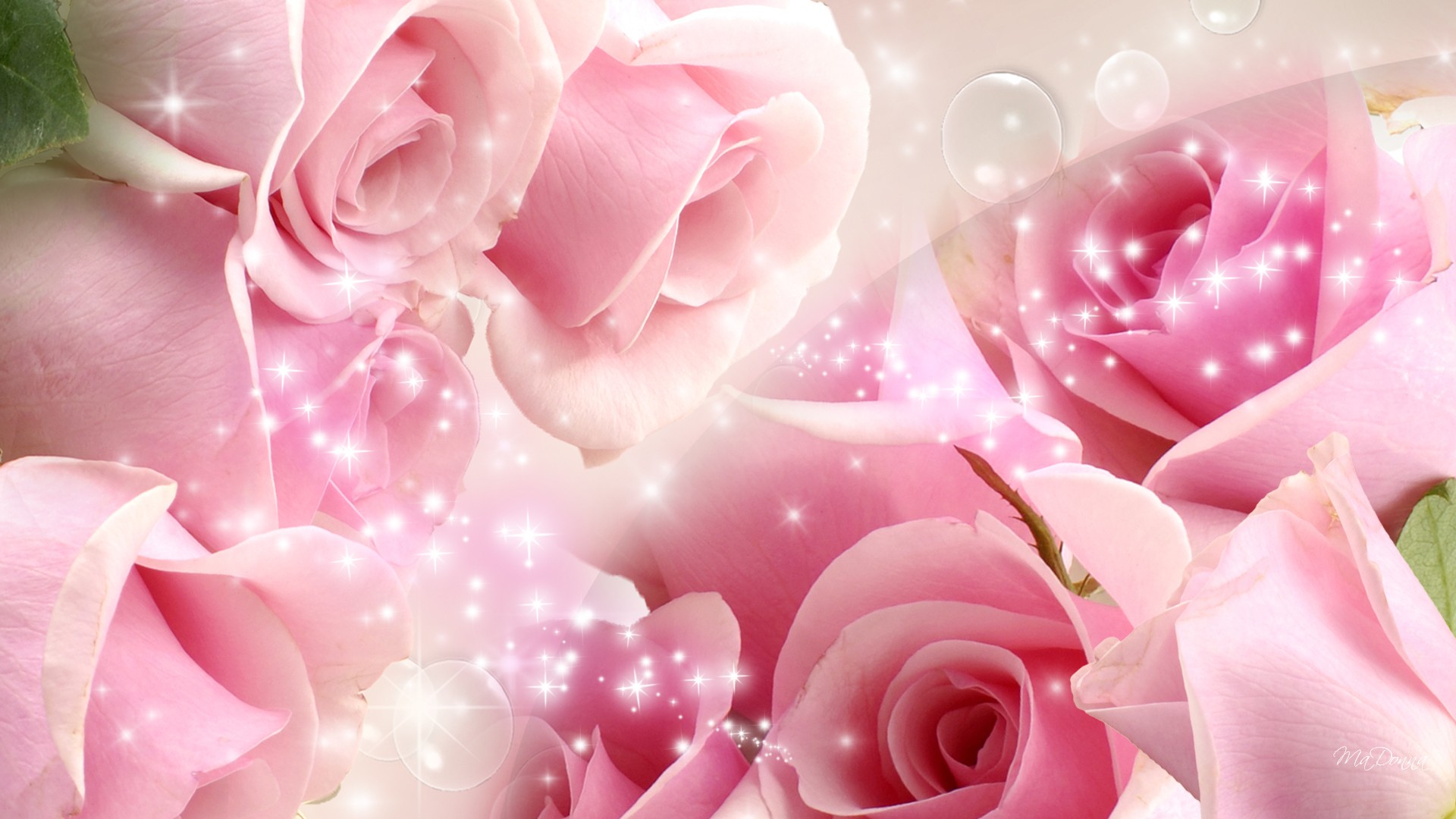 Detail Pink Rose Images Free Download Nomer 30