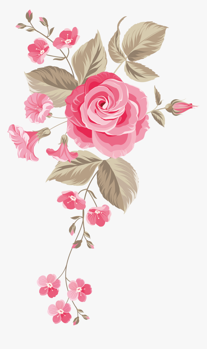 Detail Pink Rose Images Free Download Nomer 31