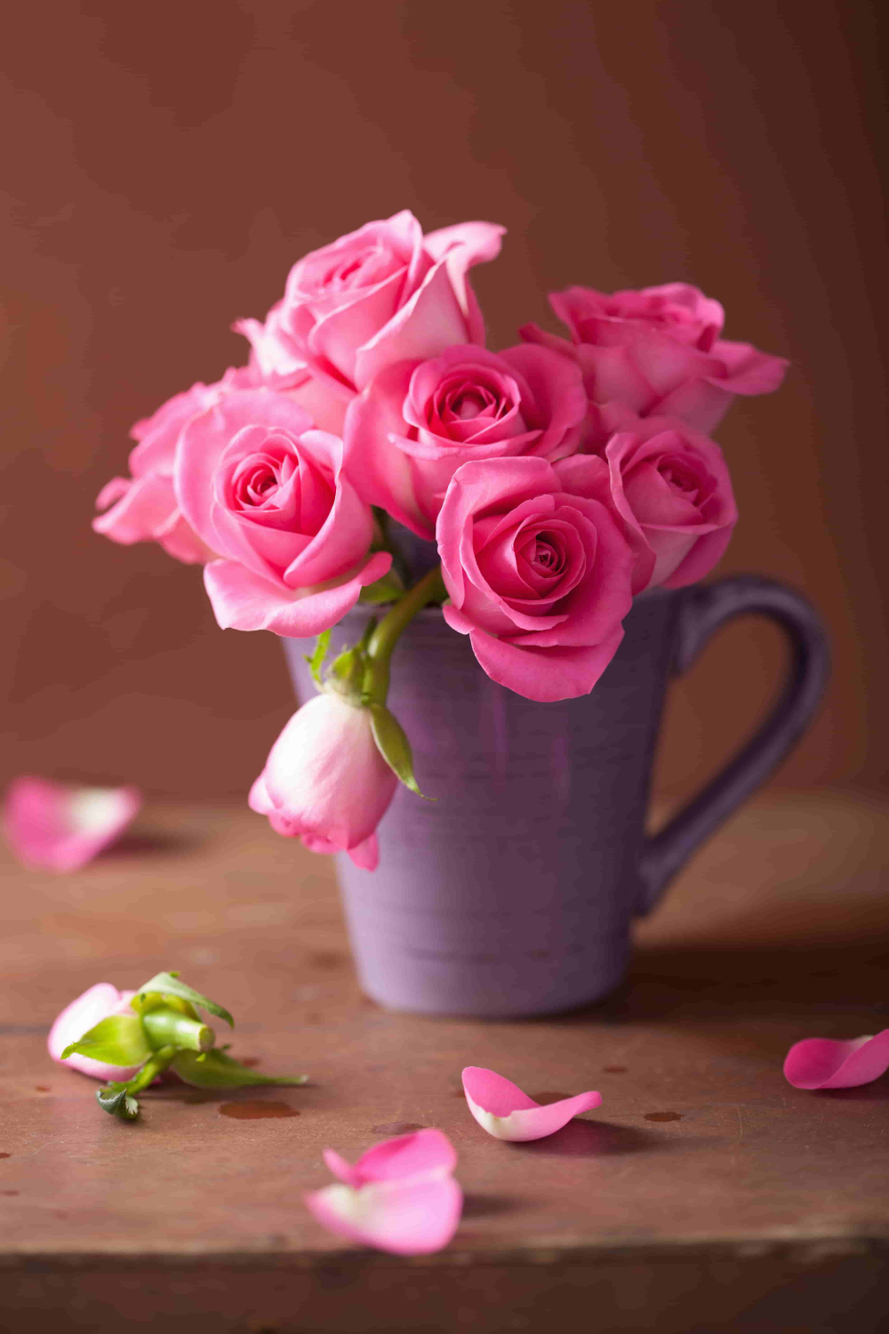 Detail Pink Rose Images Free Download Nomer 32