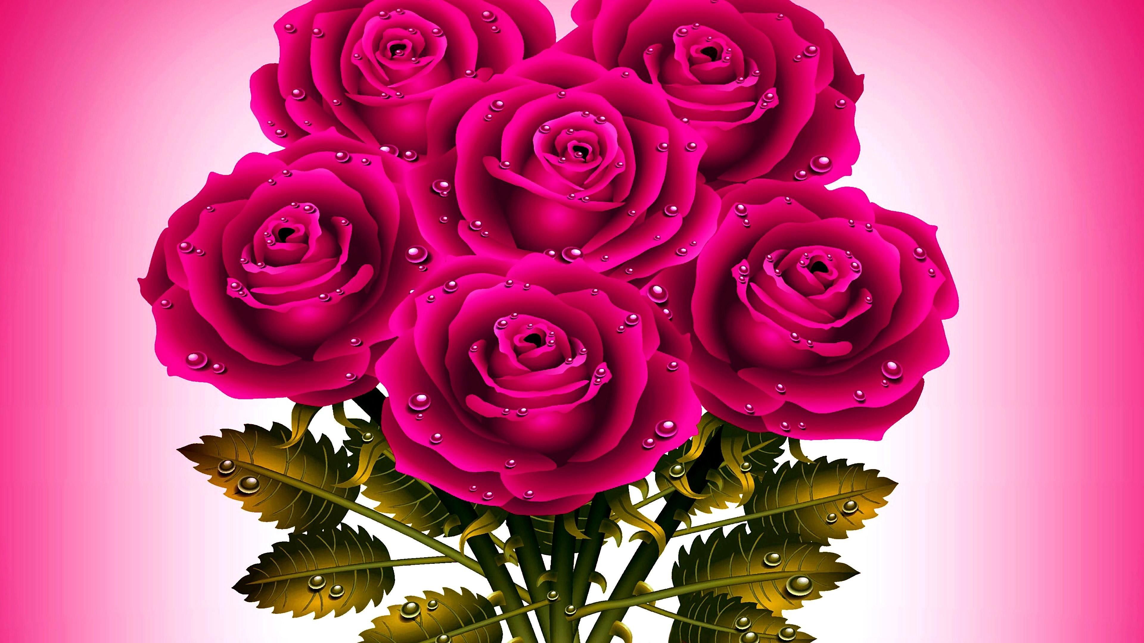 Download Pink Rose Images Free Download Nomer 9