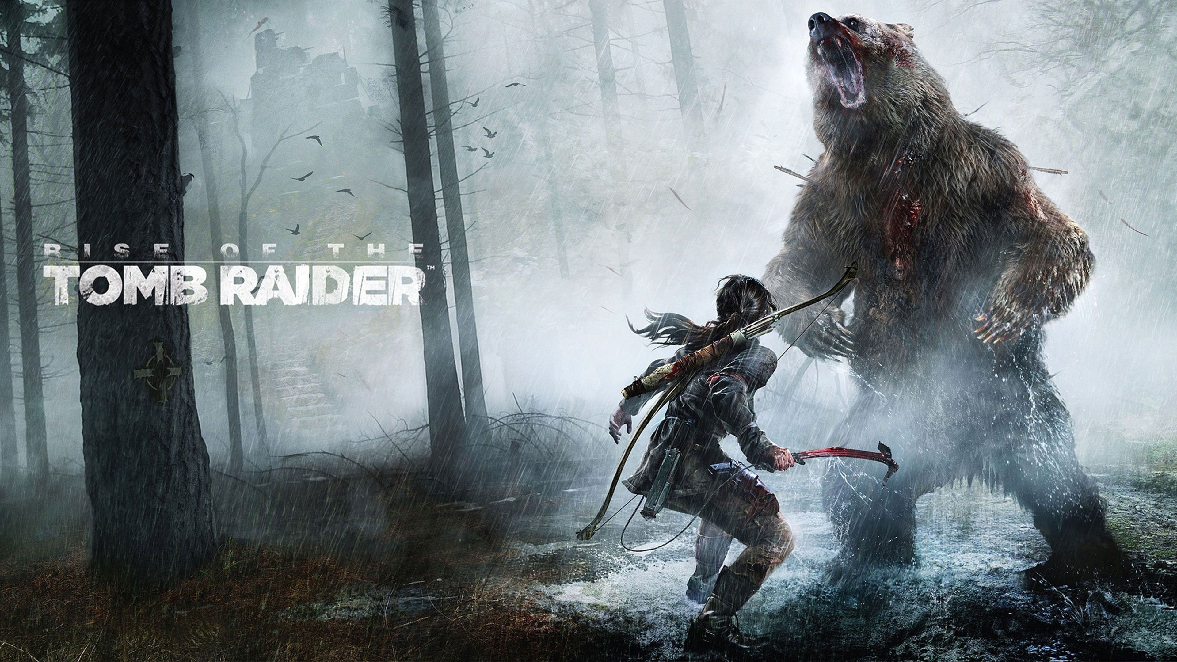 Detail Rise Of Tomb Raider Wallpaper Nomer 3