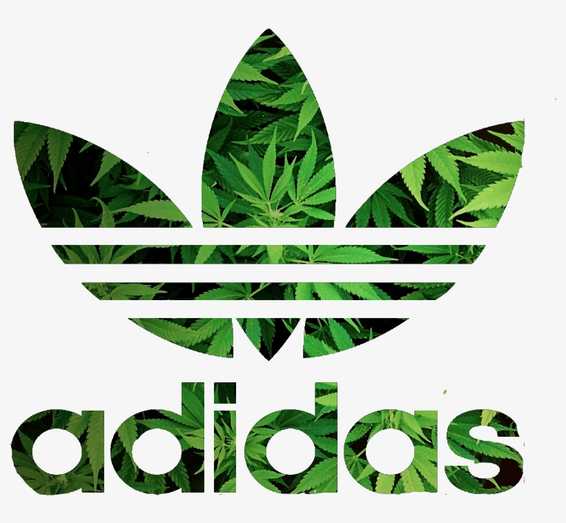 Detail Transparent Adidas Logo Nomer 14