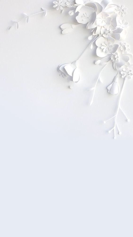 Detail White Color Wallpaper Nomer 11