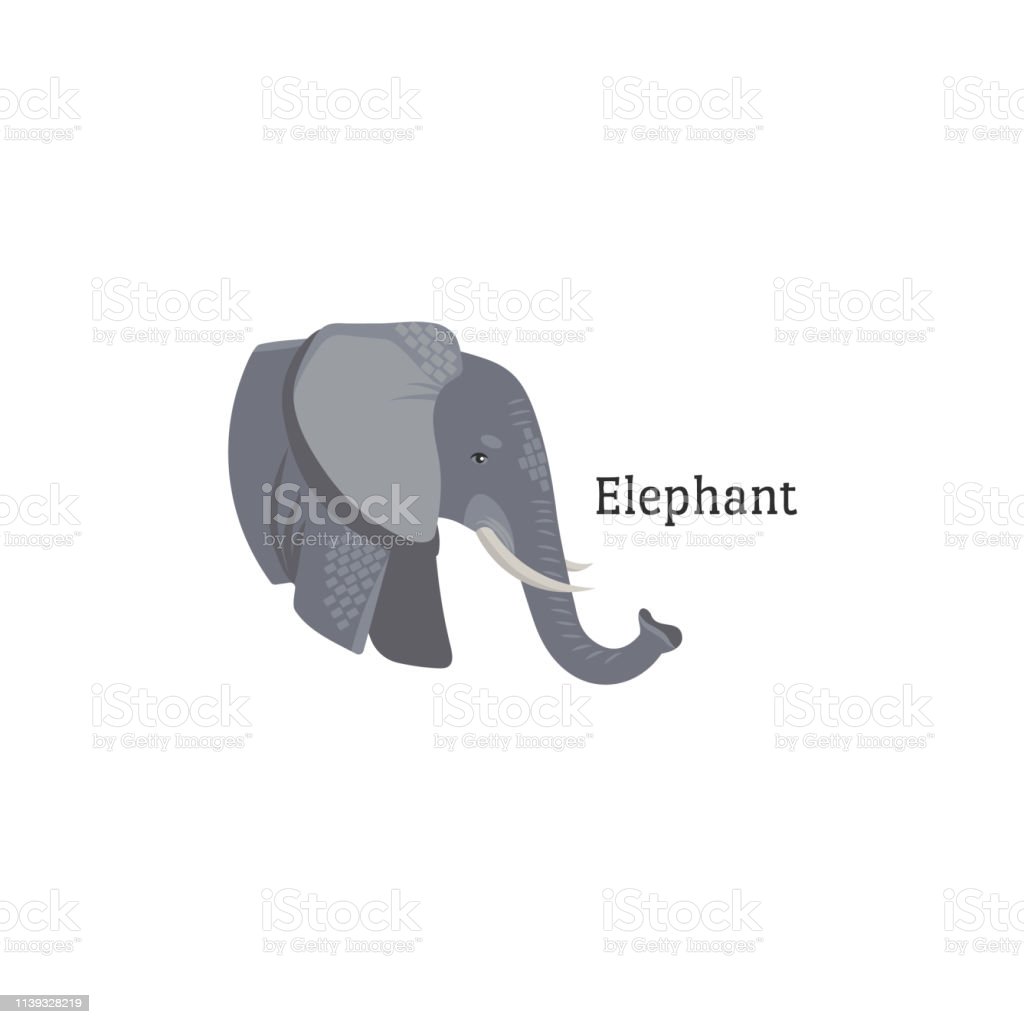 Detail Kepala Gajah Kartun Nomer 30