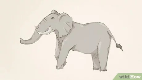 Detail Kepala Gajah Kartun Nomer 45