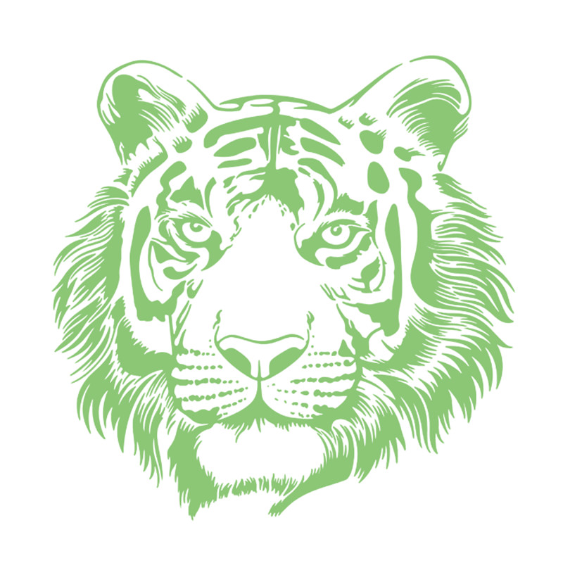 Detail Kepala Harimau Logo Harimau Nomer 46