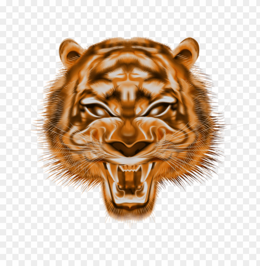 Detail Kepala Harimau Png Nomer 18