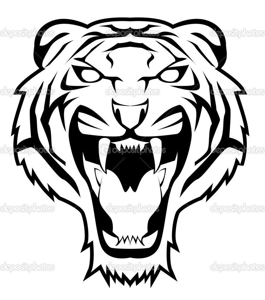 Detail Kepala Harimau Putih Nomer 9