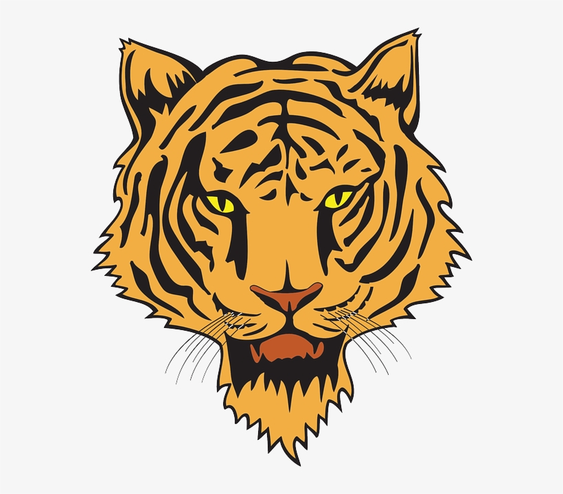Detail Kepala Macan Vector Nomer 13