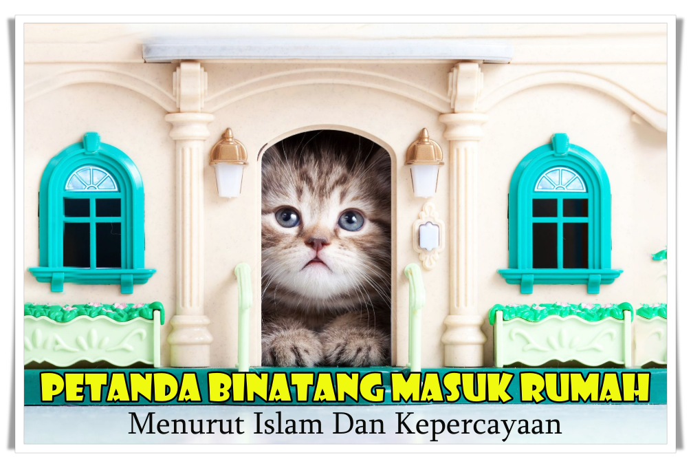 Detail Kepercayaan Ular Masuk Rumah Nomer 40