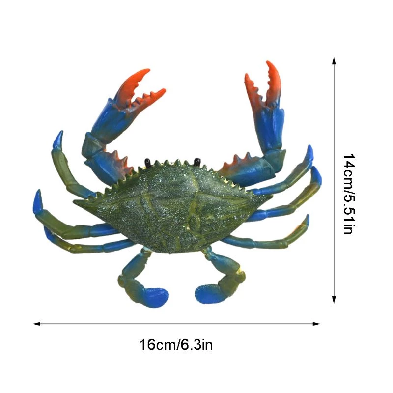 Detail Kepiting Biru Chesapeake Nomer 41