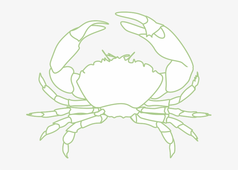 Detail Kepiting Vector Png Nomer 3