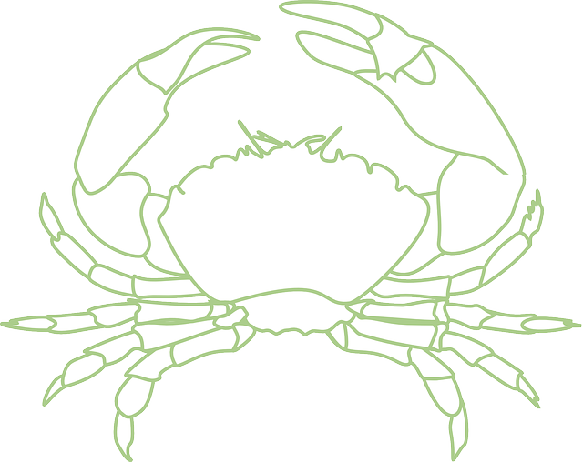 Detail Kepiting Vector Png Nomer 34