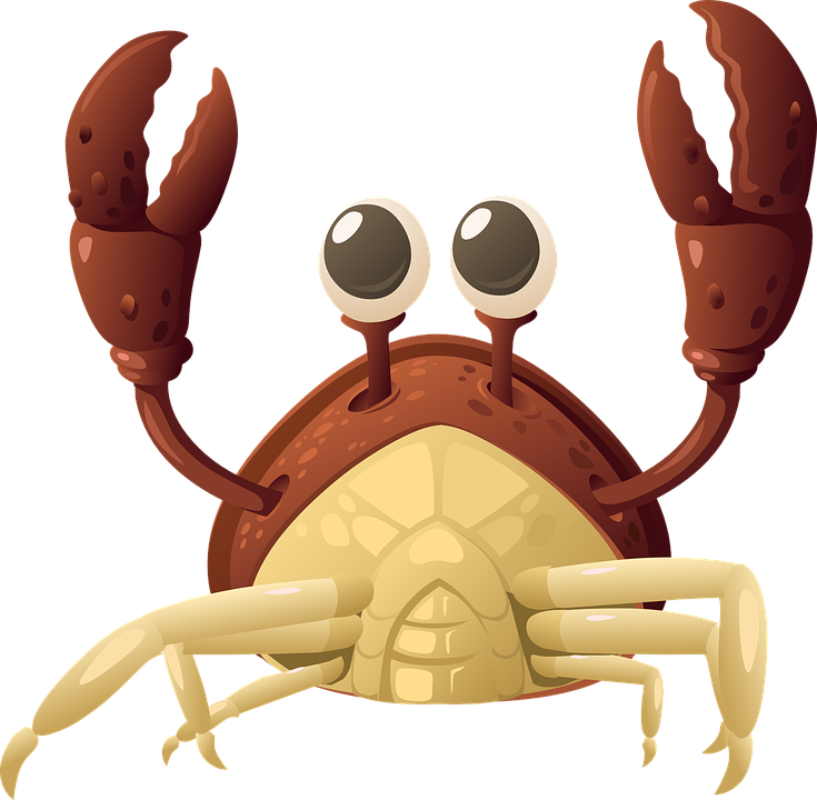 Detail Kepiting Vector Png Nomer 46