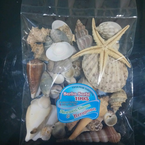 Detail Kerajinan Tangan Dari Kerang Laut Nomer 9