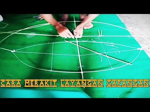 Detail Kerangka Gapangan Kupu Kupu Nomer 48