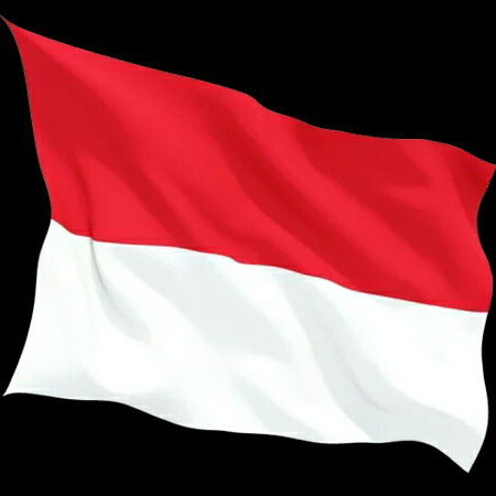 Detail Keren Background Bendera Merah Putih Nomer 40